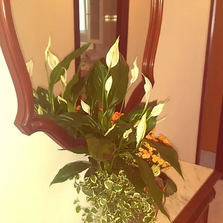 A Canteira Appartement *